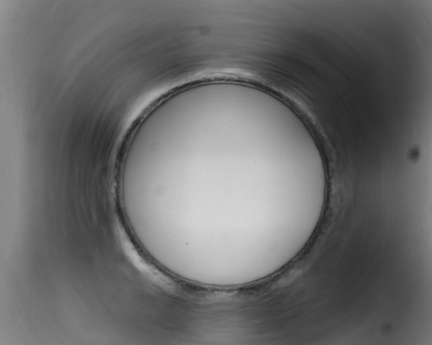 X0000116111038200911230950