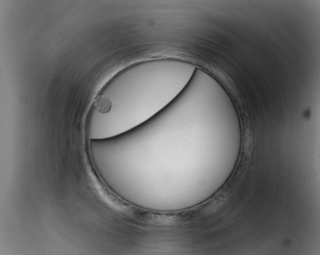 X0000116111039200911230950