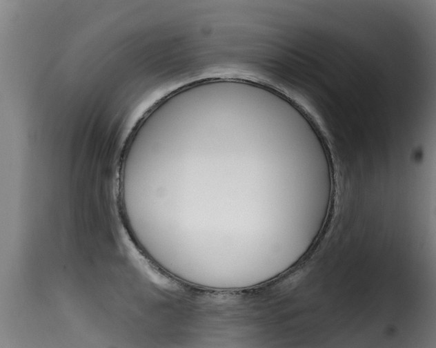 X0000116111040200911230950