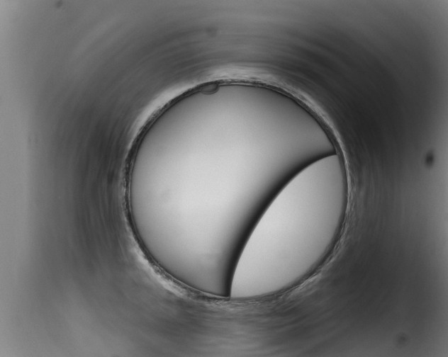 X0000116111045200911230950