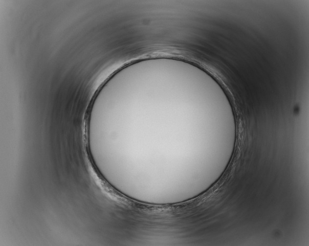 X0000116111047200911230950