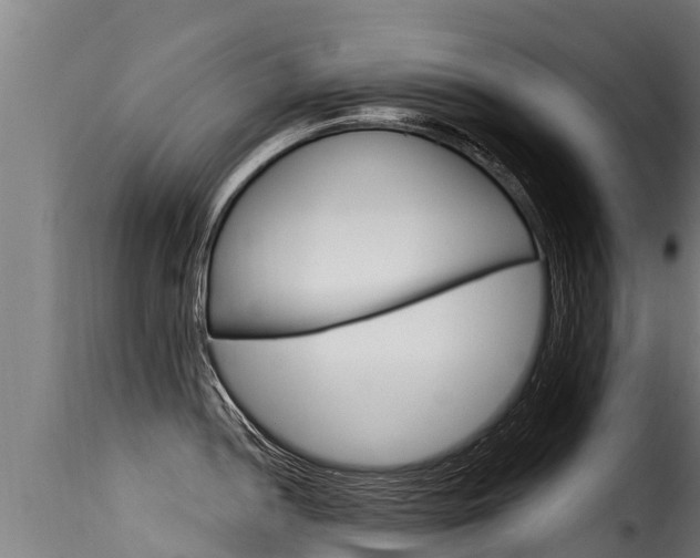 X0000116111052200911230950