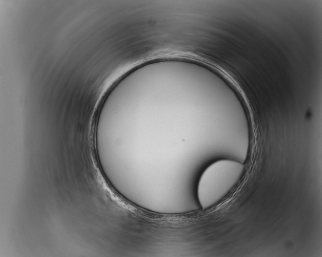 X0000116111053200911230950