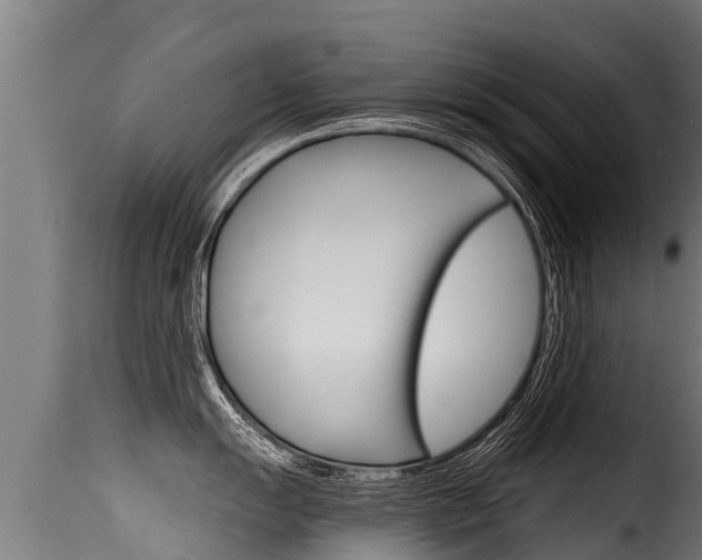 X0000116111055200911230950