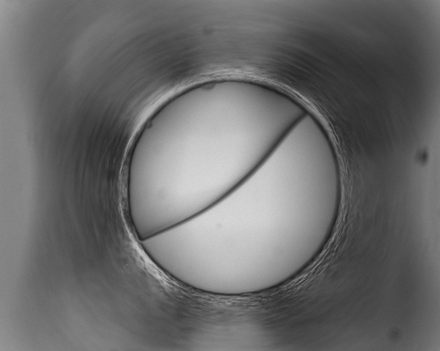 X0000116111056200911230950
