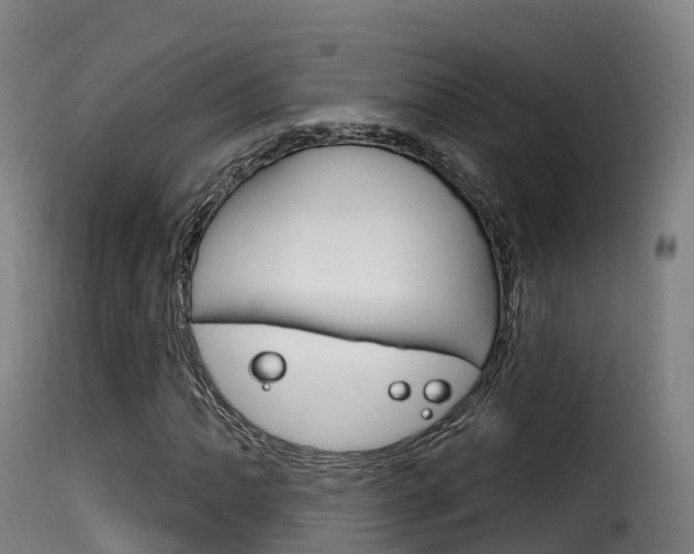X0000116111062200911230949