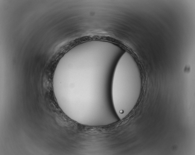 X0000116111063200911230949