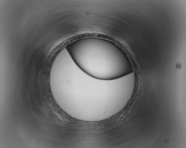 X0000116111064200911230949