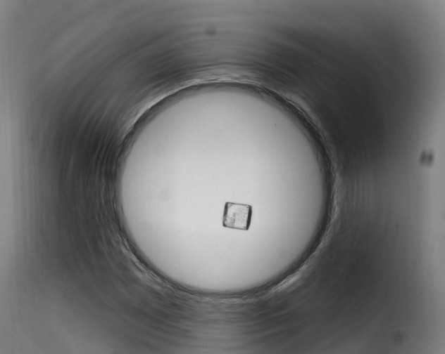 X0000116111065200911230949