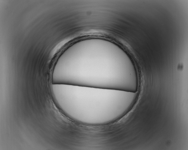 X0000116111066200911230949
