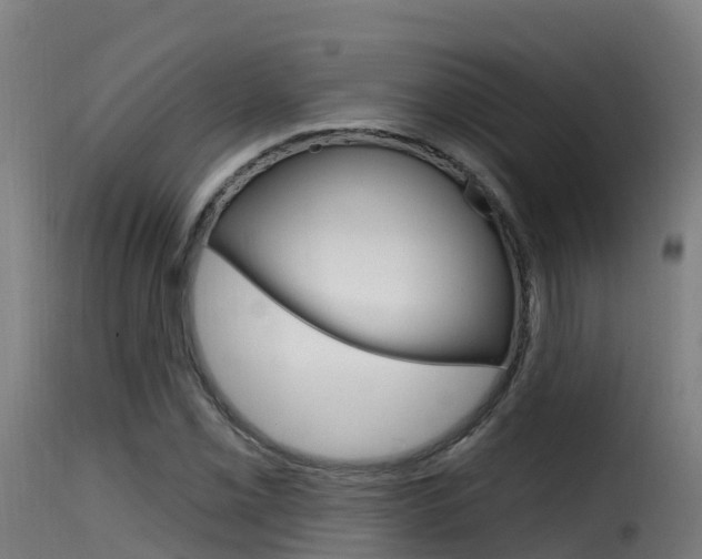 X0000116111069200911230949