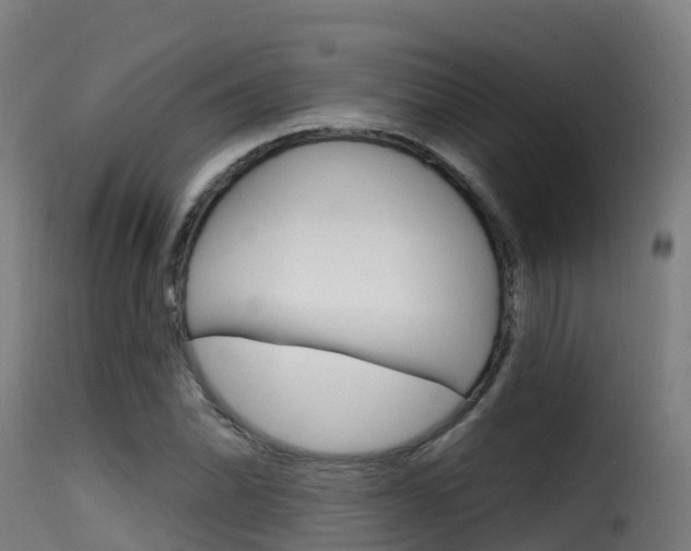 X0000116111070200911230949