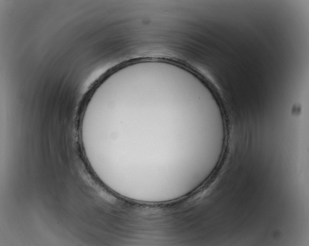 X0000116111071200911230949