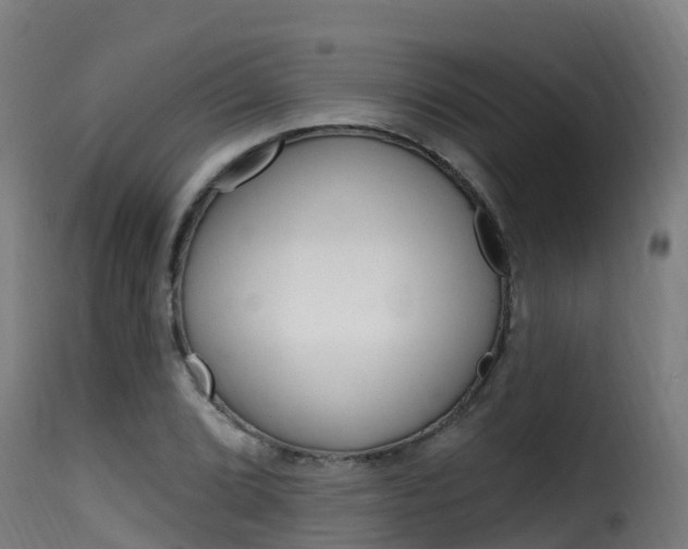 X0000116111072200911230949