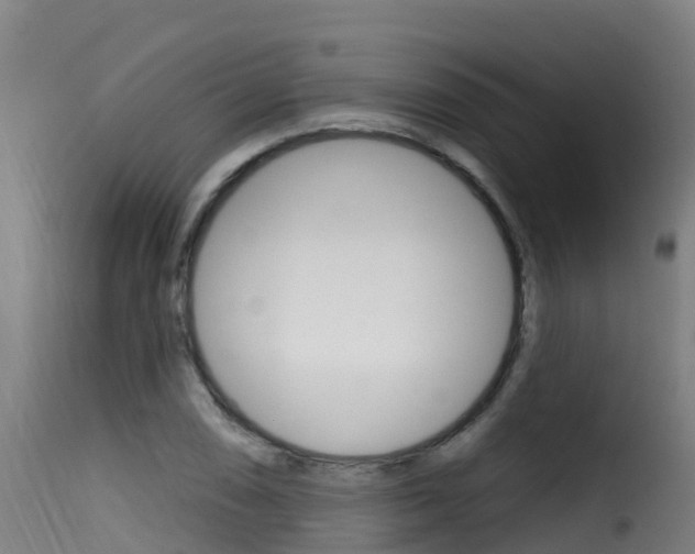 X0000116111074200911230949