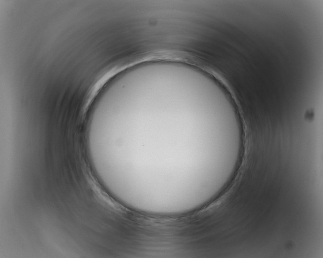 X0000116111075200911230949