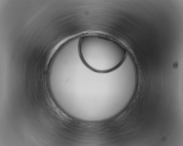 X0000116111076200911230949