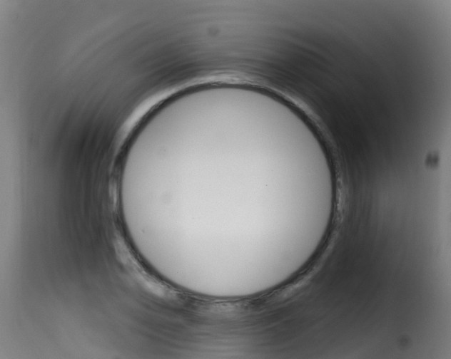 X0000116111078200911230949