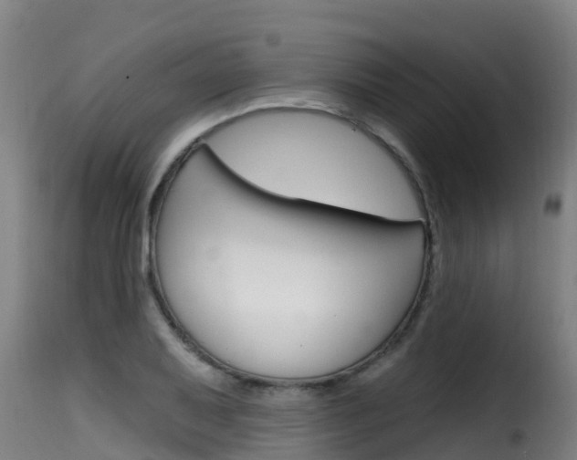 X0000116111079200911230949
