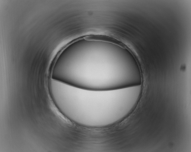 X0000116111080200911230949
