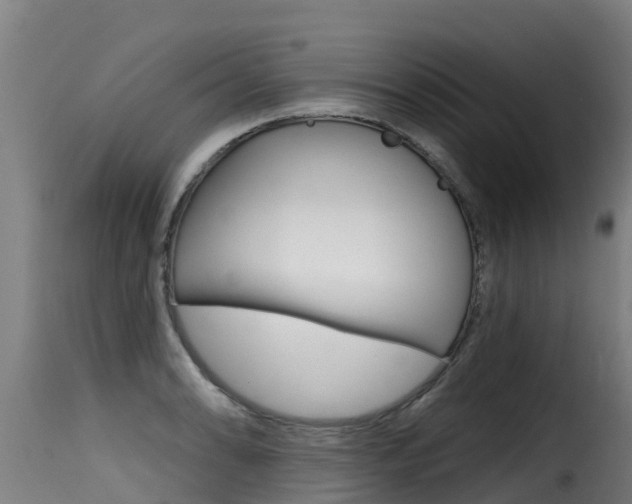 X0000116111086200911230949
