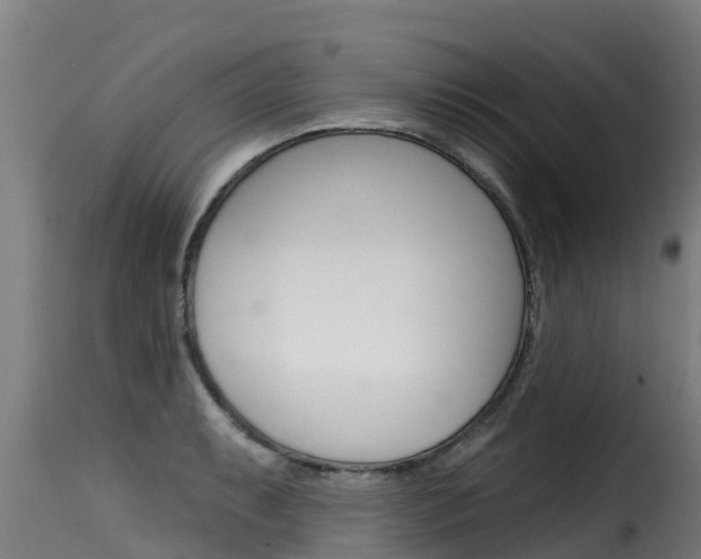 X0000116111087200911230949
