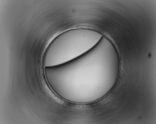 X0000116111091200911230949