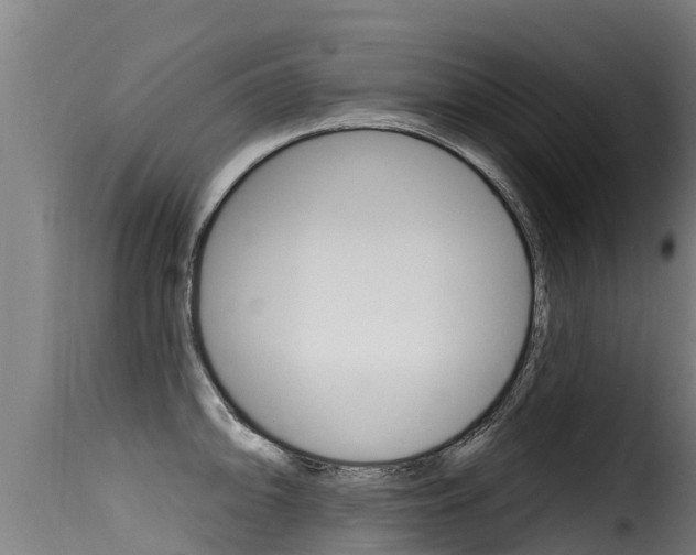 X0000116111094200911230949