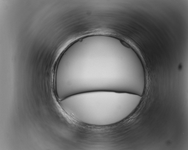 X0000116111099200911230949