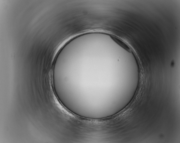 X0000116111100200911230949