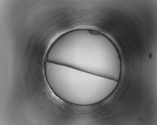 X0000116111102200911230949