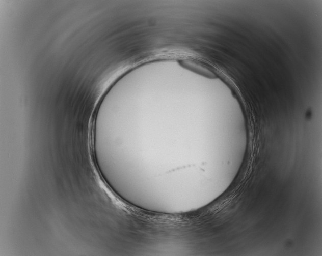 X0000116111103200911230949