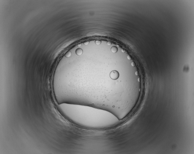 X0000116111113200911230948