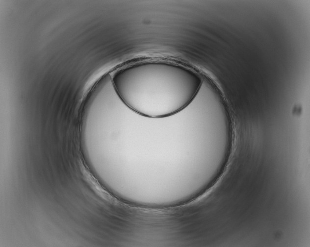 X0000116111114200911230948