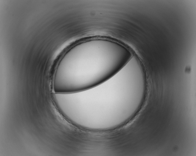 X0000116111118200911230948