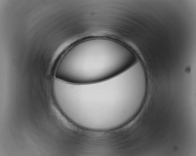 X0000116111122200911230948