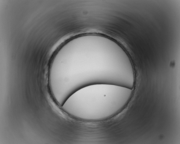 X0000116111126200911230948