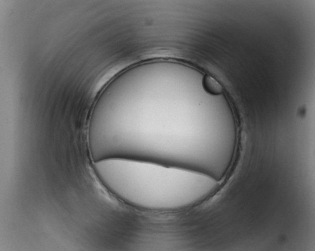X0000116111129200911230948