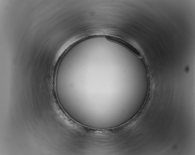 X0000116111138200911230949