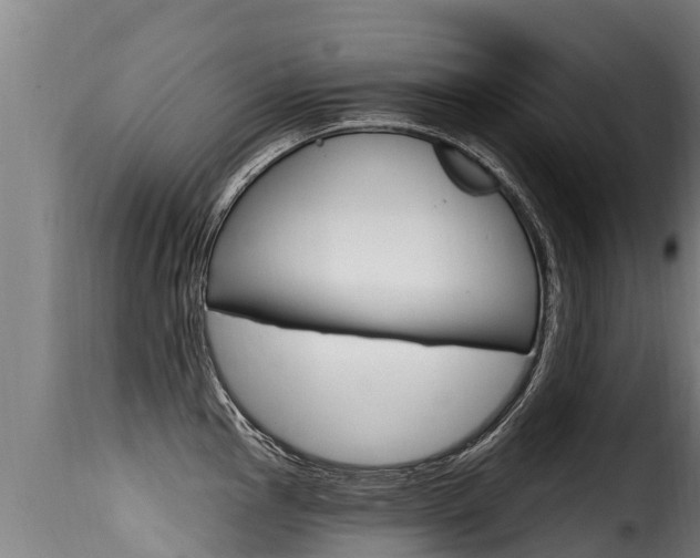 X0000116111145200911230949