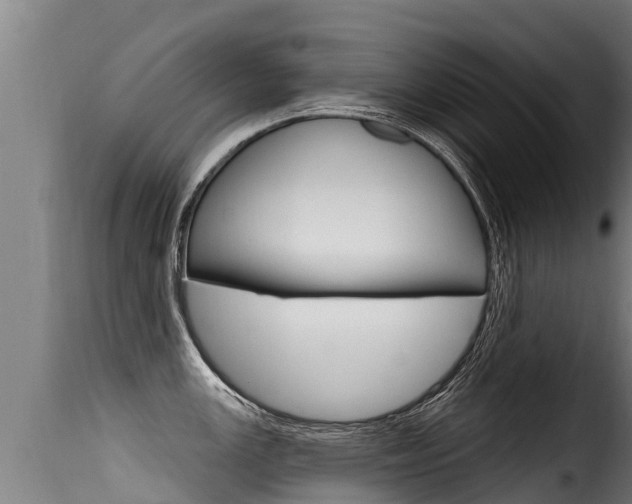 X0000116111147200911230949