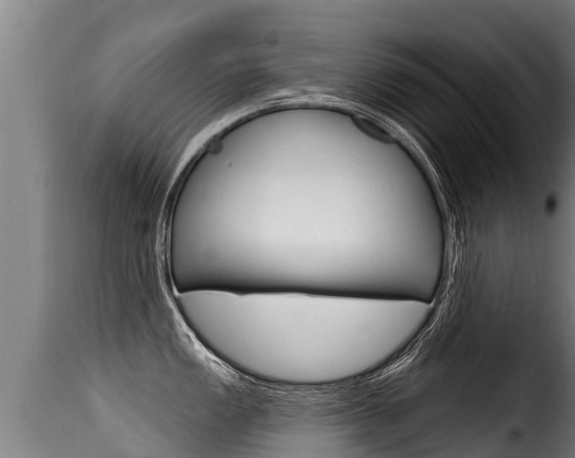 X0000116111149200911230949