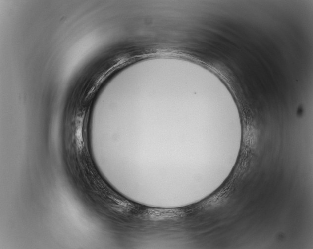 X0000116111150200911230949
