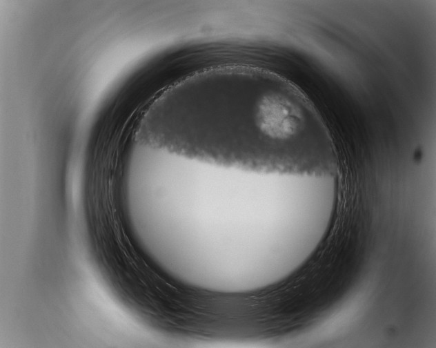 X0000116111151200911230949