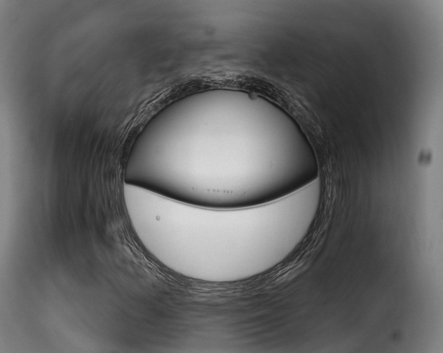 X0000116111156200911230948