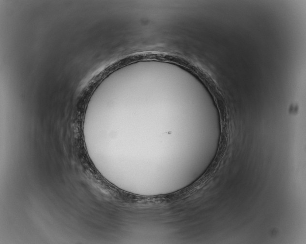 X0000116111159200911230948