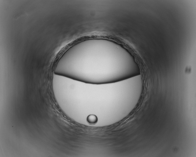 X0000116111160200911230948