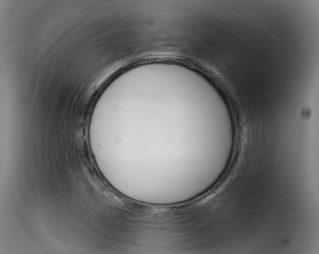 X0000116111162200911230948