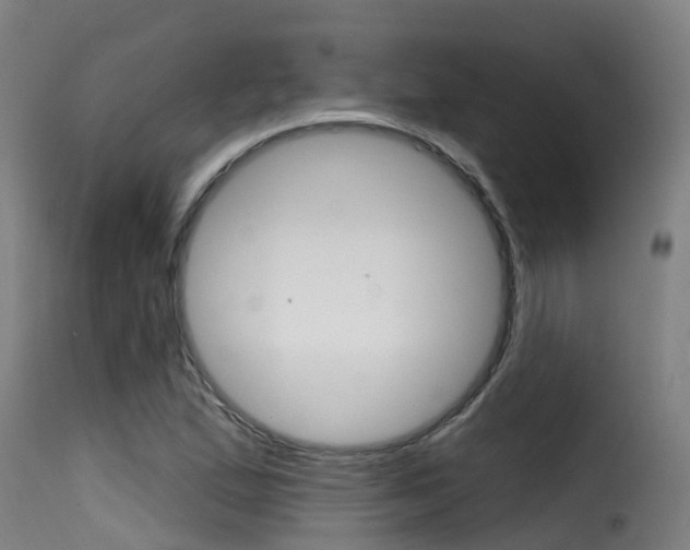 X0000116111167200911230948