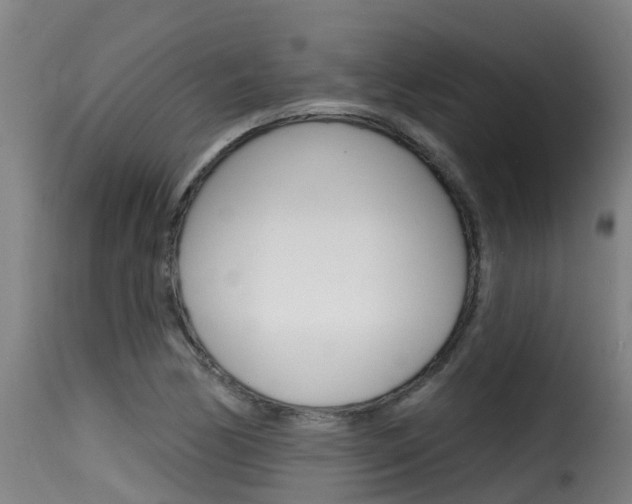 X0000116111170200911230948